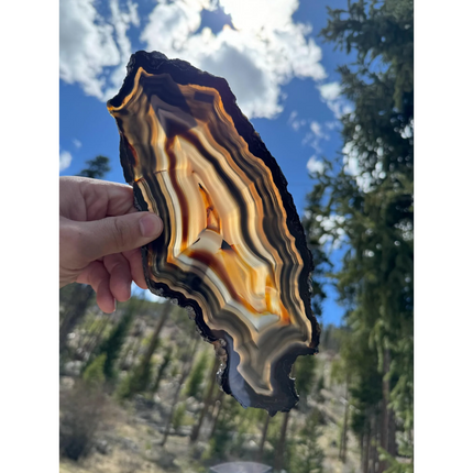 AGATE stand not included