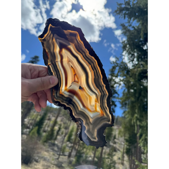AGATE stand not included