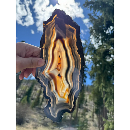 AGATE stand not included