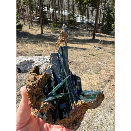VIVIANITE - STAND NOT INCLUDED!